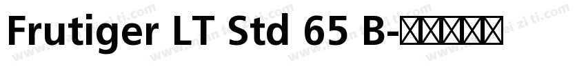 Frutiger LT Std 65 B字体转换